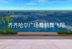 齐齐哈尔广场舞鹤舞飞翔