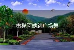 橄榄阿姨跳广场舞