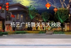 杨艺广场舞关东大秧歌