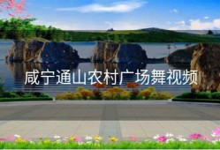 咸宁通山农村广场舞视频