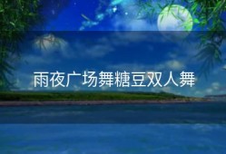 雨夜广场舞糖豆双人舞