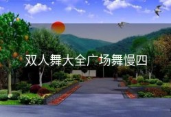 双人舞大全广场舞慢四