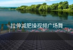 拉伸减肥操视频广场舞