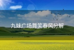 九妹广场舞笑春风分解