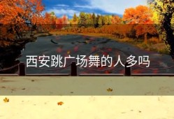 西安跳广场舞的人多吗