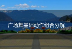 广场舞基础动作组合分解