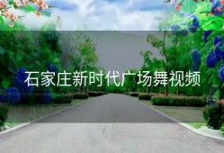 石家庄新时代广场舞视频
