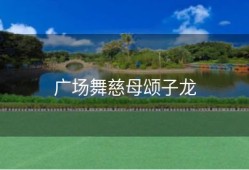 广场舞慈母颂子龙