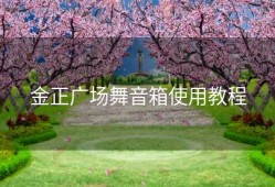 金正广场舞音箱使用教程