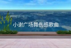 小谢广场舞伤感歌曲