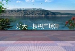 好大一棵树广场舞