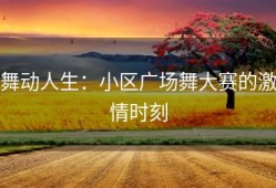 舞动人生：小区广场舞大赛的激情时刻