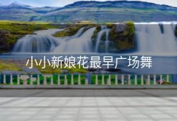 小小新娘花最早广场舞
