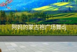 阿妈的蒙古袍广场舞dj