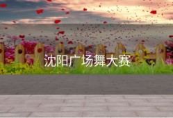 沈阳广场舞大赛