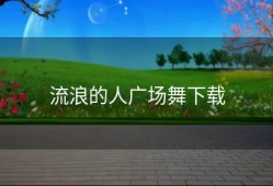 流浪的人广场舞下载