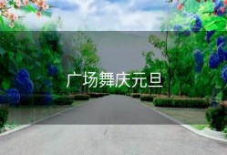 广场舞庆元旦