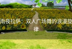 雨夜拉萨：双人广场舞的浪漫旋律
