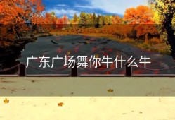 广东广场舞你牛什么牛