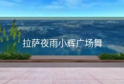 拉萨夜雨小辉广场舞