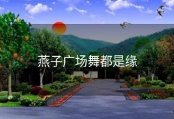 燕子广场舞都是缘