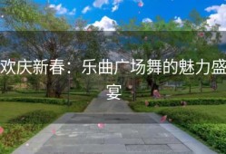 欢庆新春：乐曲广场舞的魅力盛宴