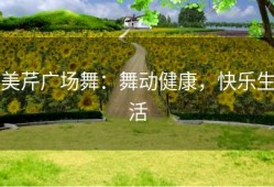 美芹广场舞：舞动健康，快乐生活