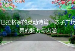巴拉格宗的灵动诗篇：応子广场舞的魅力与内涵