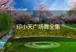印小天广场舞全集