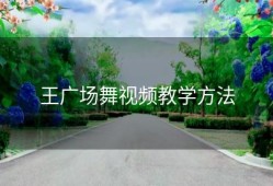 王广场舞视频教学方法