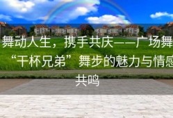 舞动人生，携手共庆——广场舞“干杯兄弟”舞步的魅力与情感共鸣