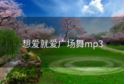 想爱就爱广场舞mp3