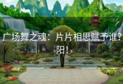广场舞之魂：片片相思赋予谁？阳！
