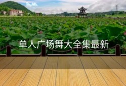 单人广场舞大全集最新