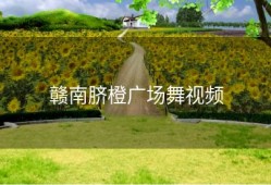 赣南脐橙广场舞视频