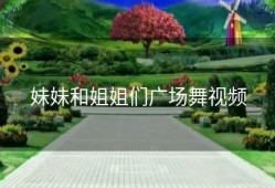 妹妹和姐姐们广场舞视频