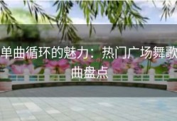 单曲循环的魅力：热门广场舞歌曲盘点