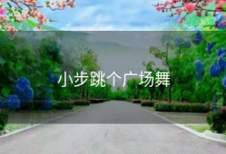 小步跳个广场舞