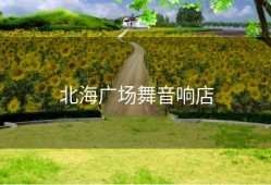 北海广场舞音响店