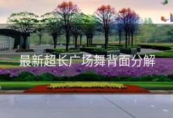 最新超长广场舞背面分解