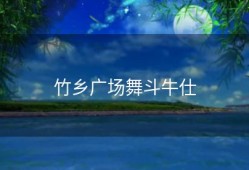 竹乡广场舞斗牛仕
