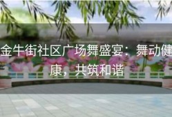 金牛街社区广场舞盛宴：舞动健康，共筑和谐
