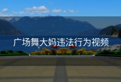 广场舞大妈违法行为视频