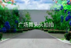 广场舞头头拍拍