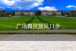 广场舞民族风11步