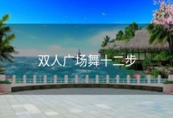 双人广场舞十二步