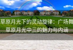 草原月光下的灵动旋律：广场舞草原月光中三的魅力与内涵