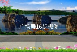 广场舞16步想你