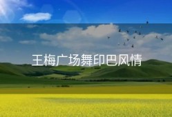 王梅广场舞印巴风情