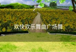 欢快欢乐舞曲广场舞